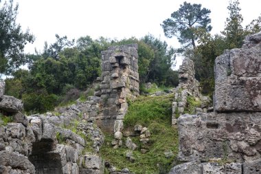 Phaselis harabelerini Türkiye'de
