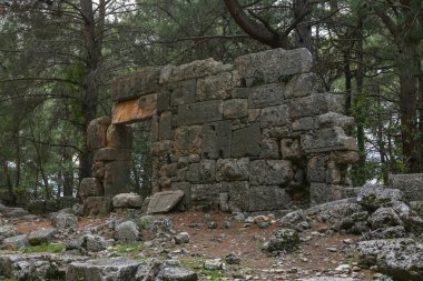 Phaselis harabelerini Türkiye'de