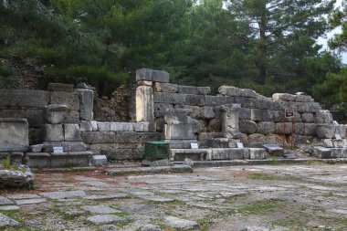 Phaselis harabelerini Türkiye'de