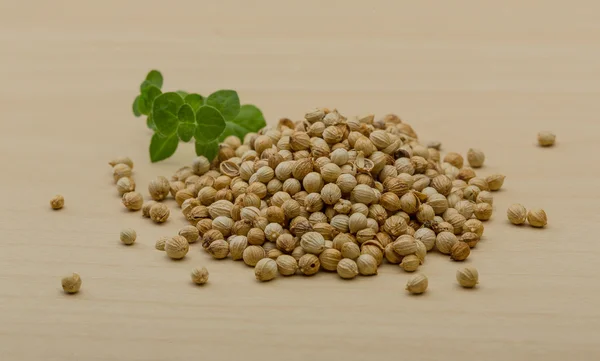 Coriander seeds — Stock Photo, Image