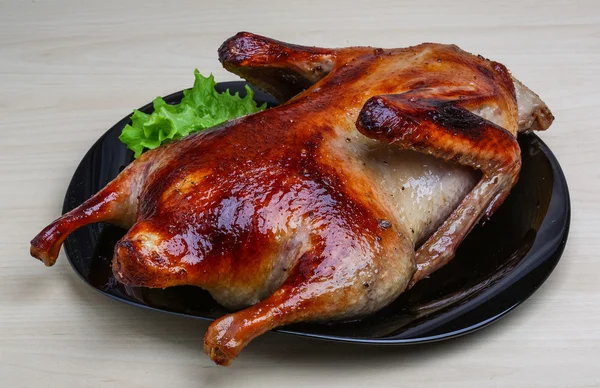 Roasted duck — Stock Photo, Image