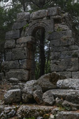 Phaselis harabelerini Türkiye'de