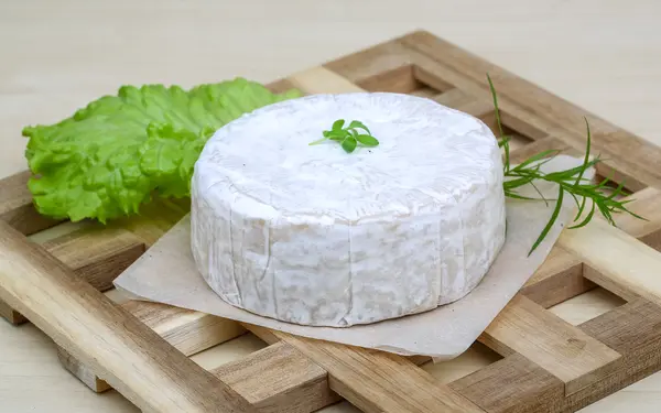 Queijo Brie Camembert — Fotografia de Stock