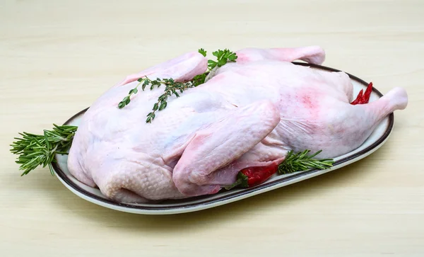 Raw duck — Stock Photo, Image