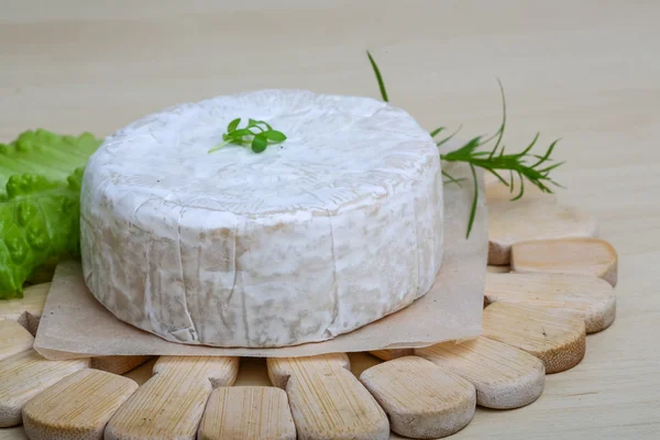 Camembert, ser brie — Zdjęcie stockowe