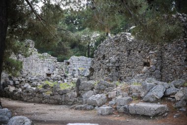 Phaselis harabelerini Türkiye'de