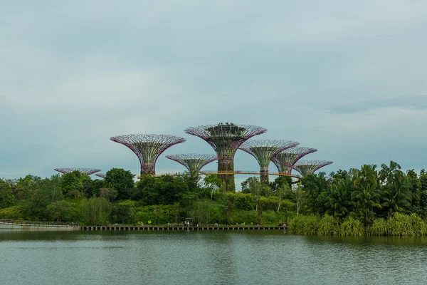 Giardini vicino alla baia di Singapore — Foto Stock