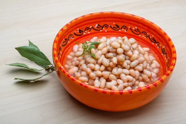 白豆の缶詰 — ストック写真