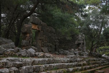 Phaselis harabelerini Türkiye'de