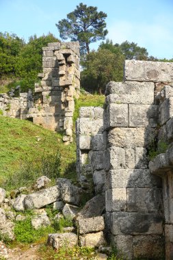 Phaselis harabelerini Türkiye'de