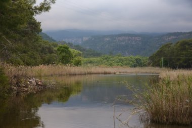 Phaselis harabelerini Türkiye'de
