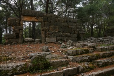 Phaselis harabelerini Türkiye'de