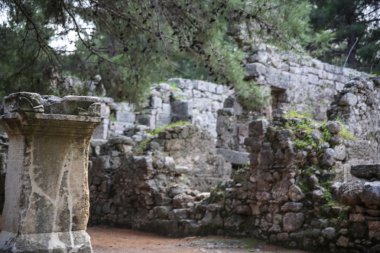 Kemer Phaselis harabelerini