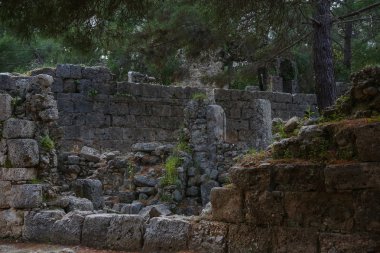 Kemer Phaselis harabelerini