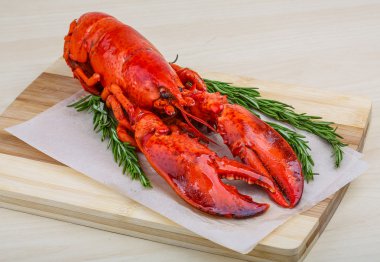 Rosemary ile taze haşlanmış ıstakoz