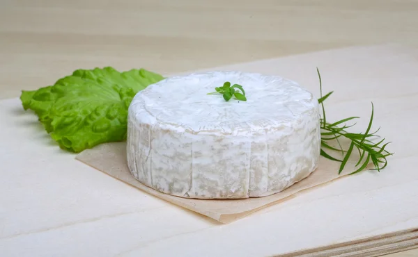 Camembert brie sajt gyógynövények — Stock Fotó