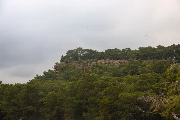 Phaselis ruínas em peru — Fotografia de Stock