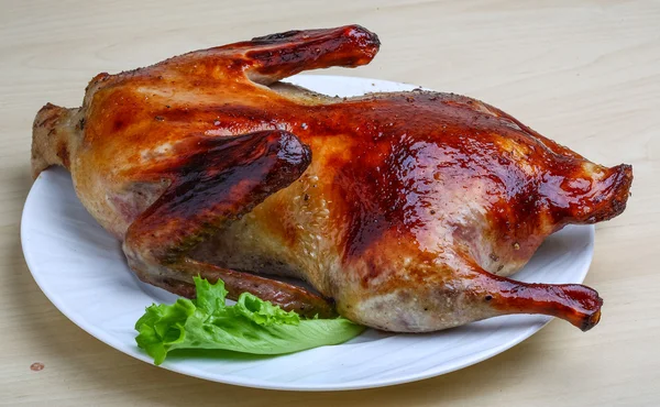 Roasted duck — Stock Photo, Image