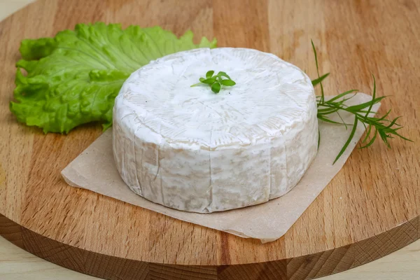 Queso brie — Foto de Stock