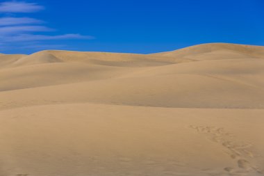 Kanarya Adası'çöl