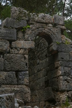 Phaselis harabelerini Türkiye'de