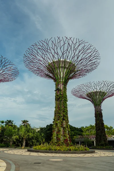 Trädgårdar vid bukten i Singapore — Stockfoto