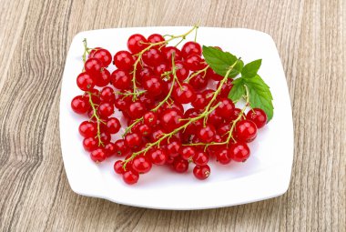 Kırmızı kuş üzümü