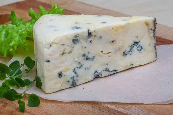 Schimmelkäse mit Oregano — Stockfoto