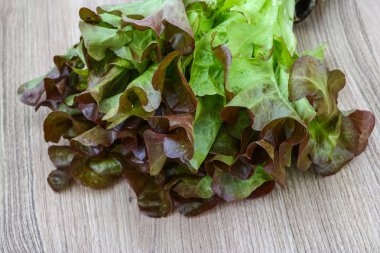 yeşil meşe salata yaprakları
