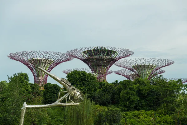 Jardines cerca de la bahía en Singapur — Foto de Stock