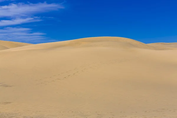 Desert in Canarische eiland — Stockfoto