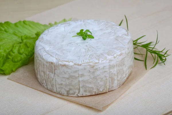 Formaggio Camembert alle erbe — Foto Stock