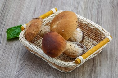 Yabani mantar çörek yığın