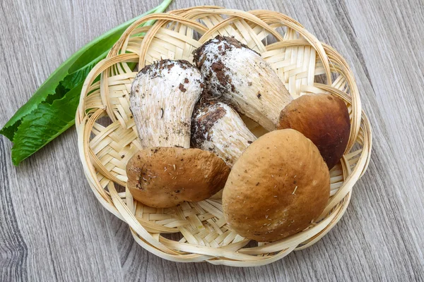 Wild Mushrooms boletus heap — Stock Photo, Image