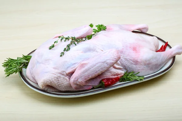 Rohe Ente mit Rosmarin — Stockfoto