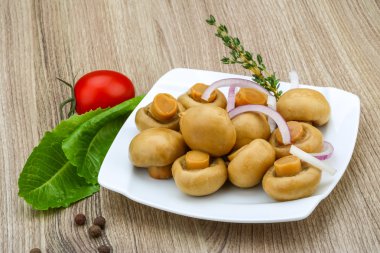 Turşu champignon kekik ile