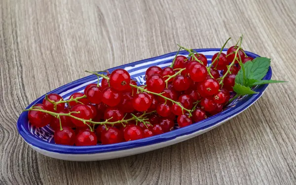 Groseilles rouges mûres — Photo