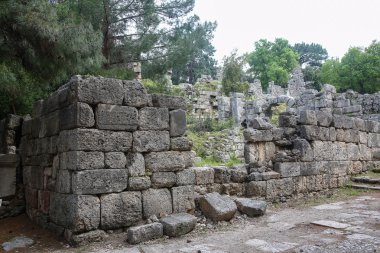 Phaselis harabelerini Türkiye'de
