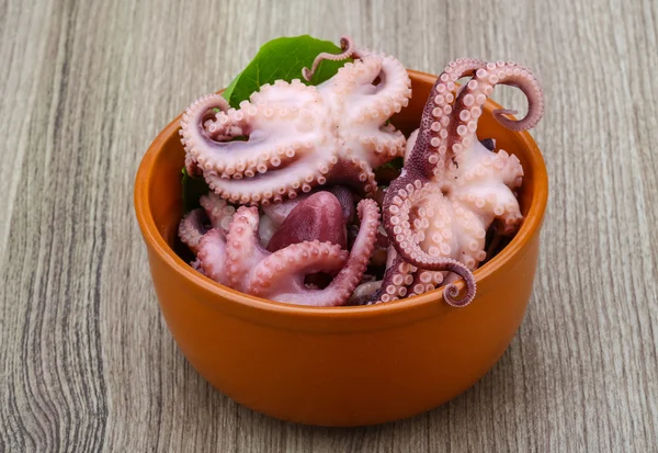 Marinated octopus — Stock Photo, Image