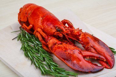 Rosemary ile taze haşlanmış ıstakoz