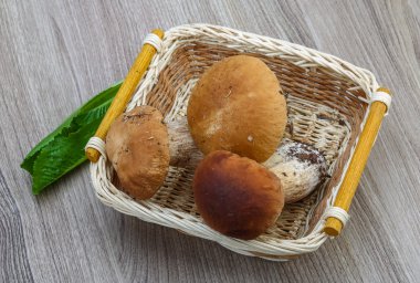 Yabani mantar çörek yığın