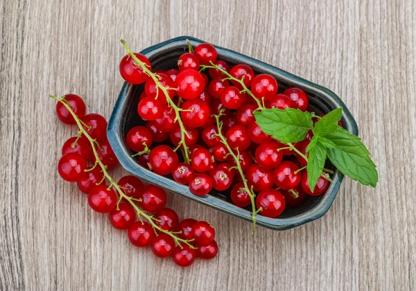 Grosellas rojas frescas maduras — Foto de Stock