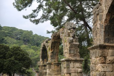Phaselis harabelerini Türkiye'de