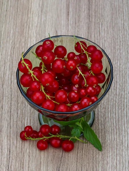 Rote Johannisbeere — Stockfoto