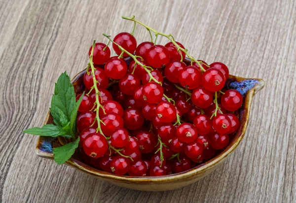 Rote Johannisbeeren — Stockfoto