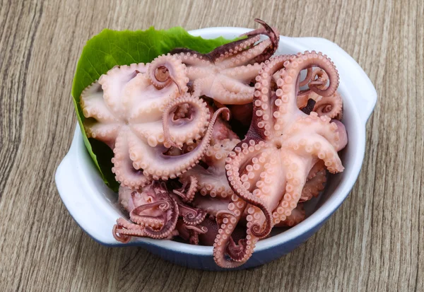 Marinated octopus — Stock Photo, Image