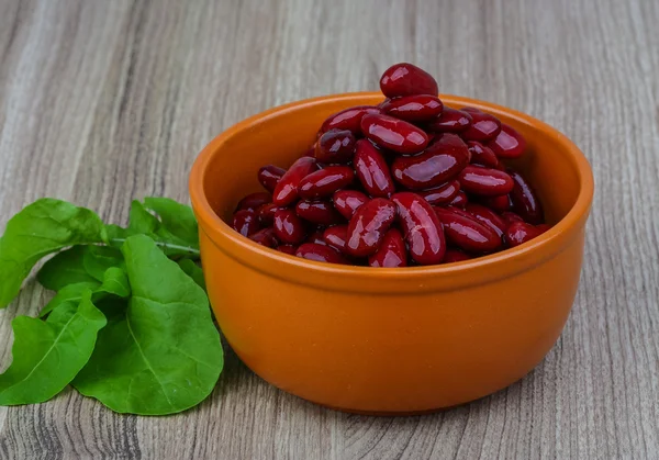 Kidney beans — Stock Photo, Image