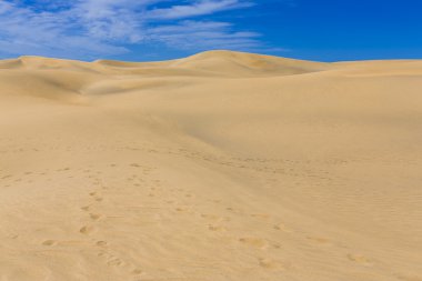 Maspalomas Duna - Kanarya adası Büyük Kanarya Çölü