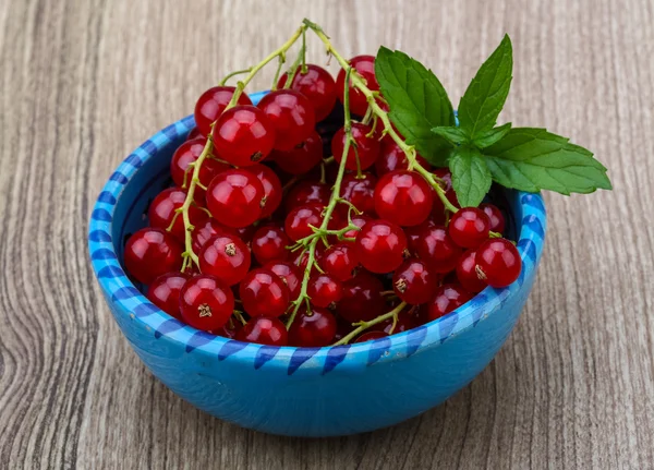 Rote Johannisbeeren — Stockfoto