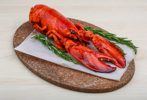 Lobster — Stock Photo, Image